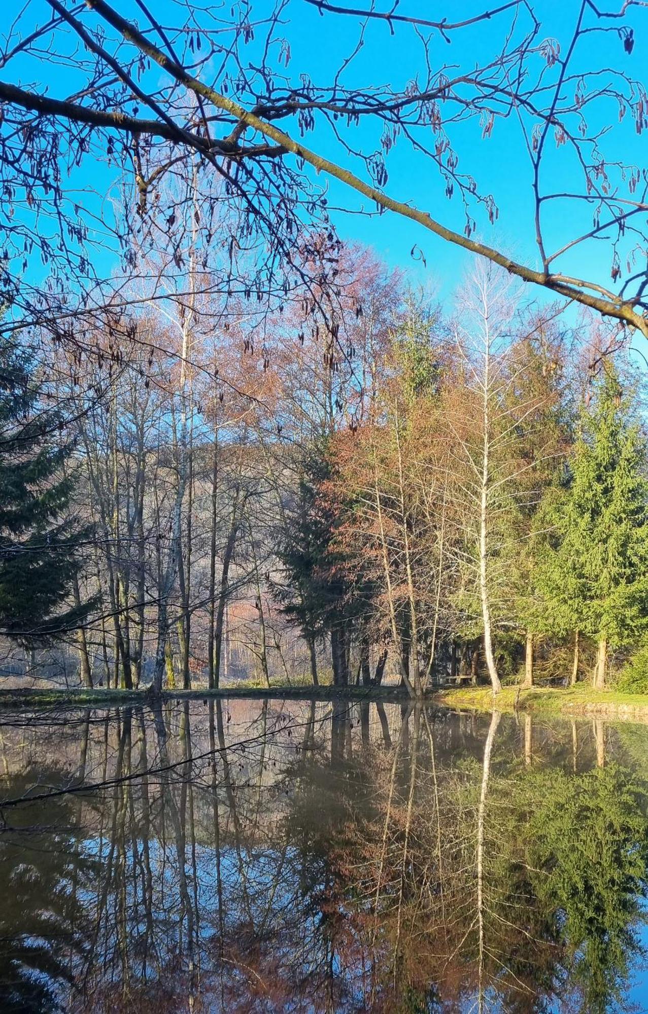 Insolite Tiny House Serenite Bien Etre Ban-sur-Meurthe-Clefcy Exteriér fotografie